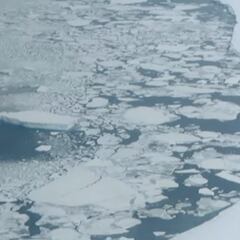 Desvelan las primeras imágenes del enorme iceberg A81