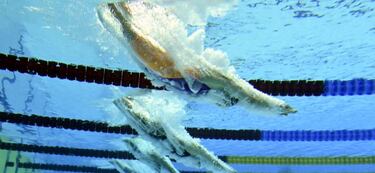La belleza de la natación desde una cámara subacuática