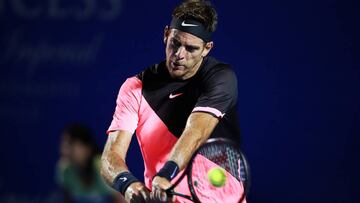 Del Potro derrota a Ferrer