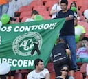 Levir Culpi se ofrece a entrenar gratis al Chapecoense