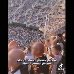 Netflix no “rectifica” en el documental de Vinicius