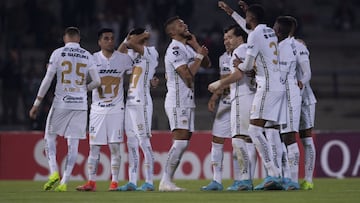 Pumas - Necaxa: Horario, canal, TV, cómo y dónde ver la Liga MX