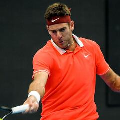Del Potro marches into Beijing semis, Anderson out in Tokyo