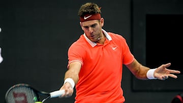 Del Potro marches into Beijing semis, Anderson out in Tokyo