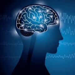 Si tienes más de 65 años, estos son los alimentos que pueden ayudarte a conservar la memoria