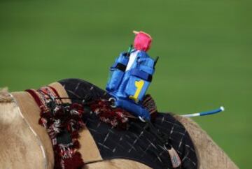 Se celebr車 en Dubai la Al Marmoom Heritage Festival, un acontecimiento que promueve el deporte tradicional de la carrera de camellos en la regi車n. Los participantes lo hacen a trav谷s de un jinete rob車tico con control remoto.
