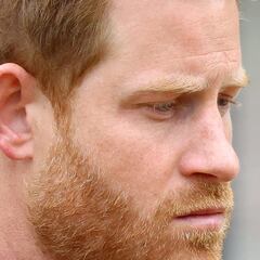 How the Royal Family feels about Prince Harry’s coronation appearance