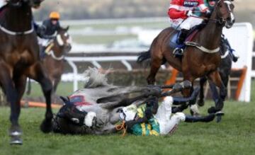 La espectacular caída de un jinete en el Festival de Cheltenham