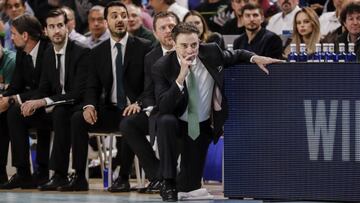 Pitino: "Podríamos y deberíamos haber ganado"