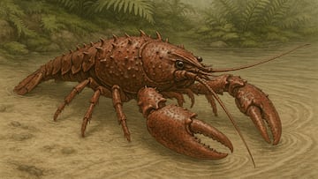 How is it possible? Giant creatures found in New Zealand that would scare their modern relative