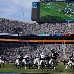 Así son las tripas de los Carolina Panthers