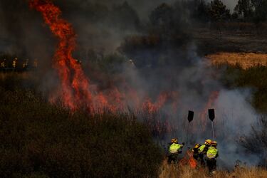 Los bomberos trabajan para extinguir un incendio forestal en las afueras de Abejera de Tábara, Zamora.