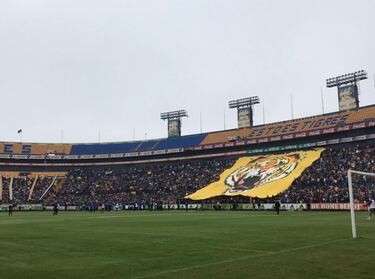 Tigres entrena a puerta abierta y fans se entregan: 'El más querido de México'