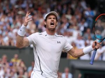 Andy Murray.