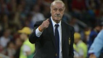 El seleccionador quiere desdramatizar en el caso de que España pierda la final.