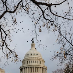 Who is the only congressman who voted against releasing the Epstein files? Meet Clay Higgins
