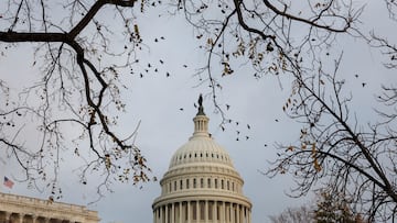 Who is Clay Higgins?