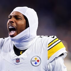 Are the Steelers in the playoffs with a win over the Browns in Week 17?