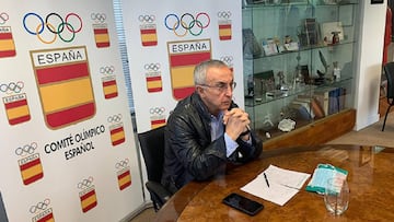 Alejandro Blanco, durante la videoconferencia en la que se ha conocido la donaci&oacute;n del Comit&eacute; Ol&iacute;mpico Chino de 9.000 mascarillas sanitarias.