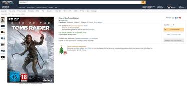 Rise of the Tomb Raider fechado en PC