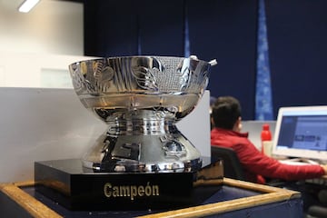 El Presidente de la Liga Mexicana de Beisbol, hace los honores al cuadro campeón de la LMB. Previo a la entrega, ninguna persona puede tocar o manipular la Copa Zaachila.