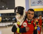 México envió ayuda canina y humanitaria a Turquía