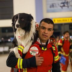 México envió ayuda canina y humanitaria a Turquía
