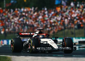 Daniel Ricciardo durante la carrera del Gran Premio de Hungr¨ªa de F¨®rmula 1 disputado en el circuito de Hungaroring.