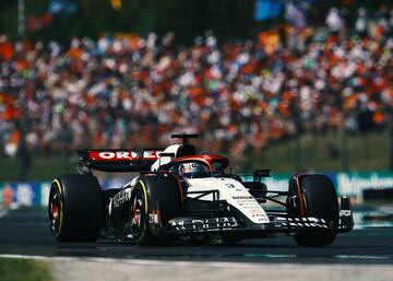 Daniel Ricciardo durante la carrera del Gran Premio de Hungría de Fórmula 1 disputado en el circuito de Hungaroring.