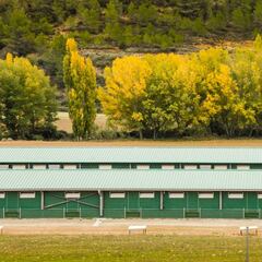 Mueren 10.000 gallinas en un incendio en Valencia