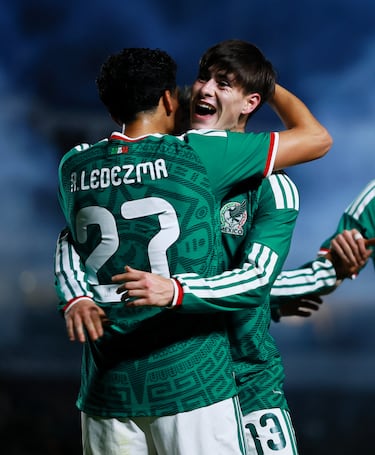 ‘Hormiga’ trabajadora