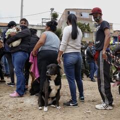 Renta Básica Bogotá: cuándo se paga y requisitos para cobrarla