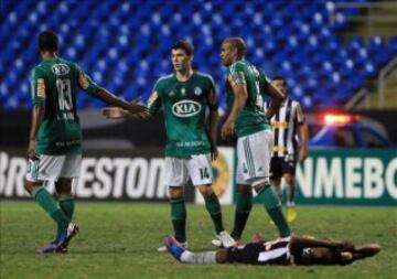 Palmeiras de Brasil está en el sitio 46 con 7 mil 050 unidades.