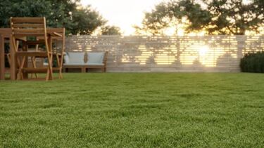 Elige el mejor césped artificial para tu jardín o terraza