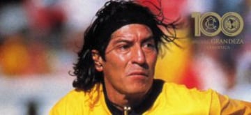 Zamorano rumbo al centenario