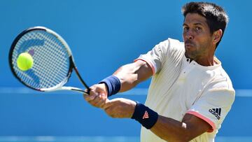 Verdasco.