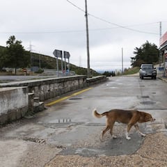 Los cinco municipios de Madrid que han evitado el coronavirus