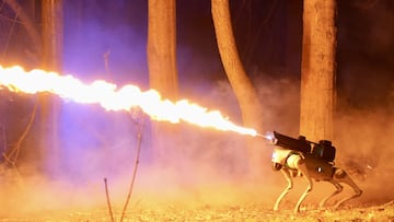 The oldest flamethrower manufacturer in the US is now selling a robot dog with the incendiary device strapped to its back. But is it legal to own one?