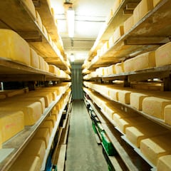 Minsal emite alerta alimentaria por este queso que está en supermercados: contiene peligrosa bacteria