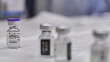 "Vacuna coronavirus México: cuándo se empezarán a vacunar los adultos y fechas clave"