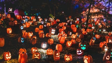 Día de Muertos 2024: ¿Hay puente o es feriado el 31 de octubre en México por Halloween?