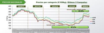 Evolución del precio del aceite