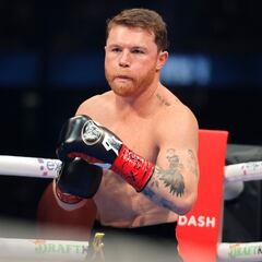 ‘Canelo’ al quirófano: ¿cuándo regresará a entrenar?