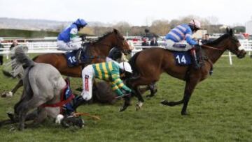 La espectacular caída de un jinete en el Festival de Cheltenham