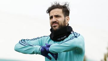 Cesc F&agrave;bregas.