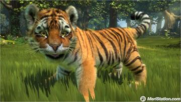 Captura de pantalla - tiger_in_glade.jpg