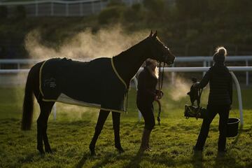 El vapor emerge del caballo tras competir en la Chepstow Racecourse en Chepstow, Gales.