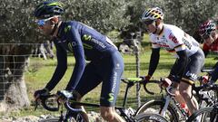 Alejandro Valverde y Andr&eacute; Greipel ruedan durante la disputa del XXVI Playa de Palma Challenge Ciclista a Mallorca.