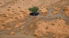 An aerial view shows a tree during Stage 9 of the Dakar 2023 rally between Riyadh and Haradh in Saudi Arabia on January 10, 2023. (Photo by FRANCK FIFE / AFP)