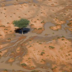 Fallece un espectador tras ser atropellado por un camión